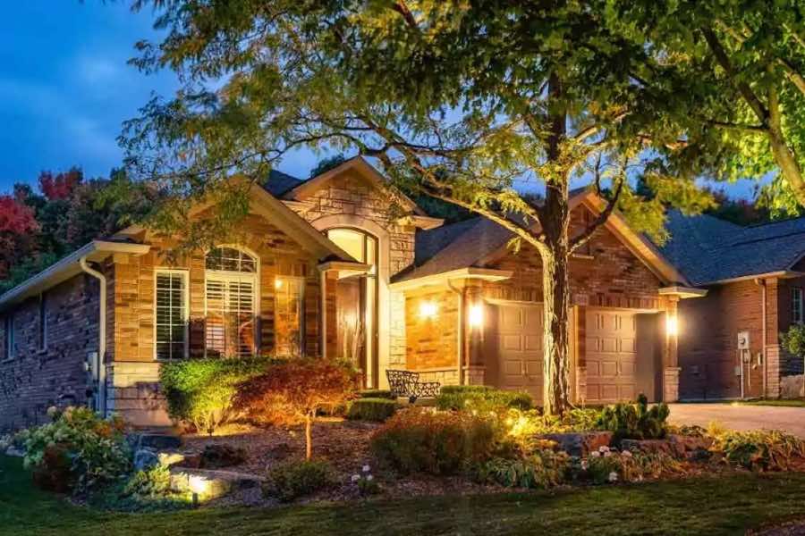 Tree Uplighting in Roanoke